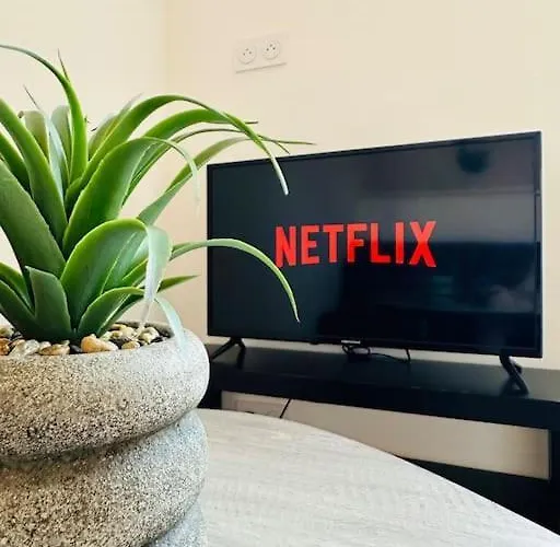 Apartmán Le Cocon - Parking Gratuit - Netflix Pont-de-Veyle